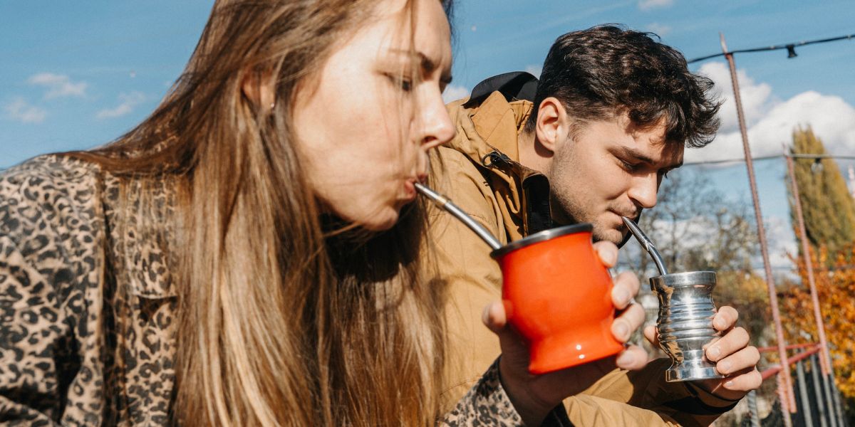 yerba-mate